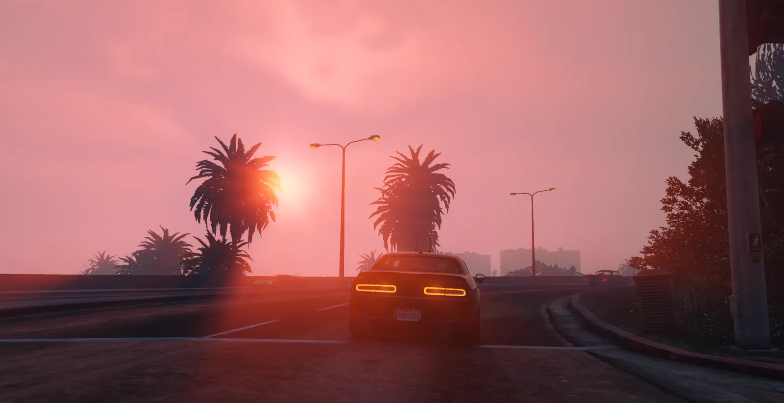 Golden hour, palm trees, and an empty road.
